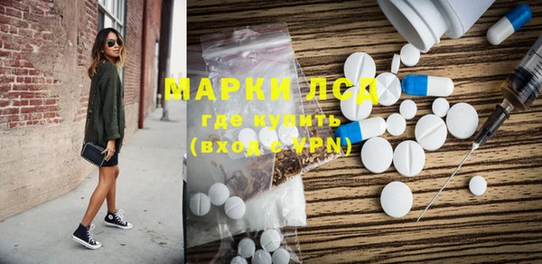ПСИЛОЦИБИНОВЫЕ ГРИБЫ Алзамай