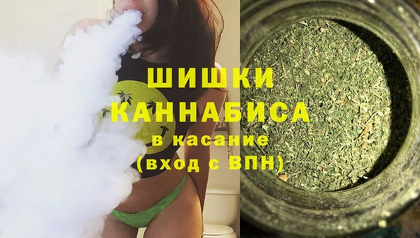 ПСИЛОЦИБИНОВЫЕ ГРИБЫ Алзамай