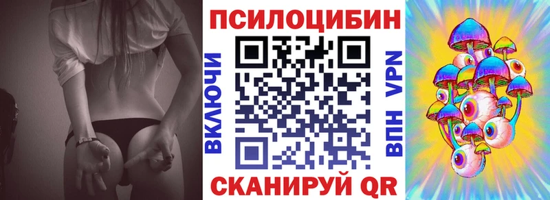 Псилоцибиновые грибы Psilocybe  Кинель 